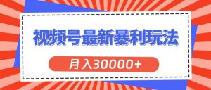 视频号最新暴利玩法，轻松月入30000+-逍遥游