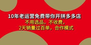 拼多多-合作开店日入4000+两天销量过百单，无学费、老运营教操作、小白…-逍遥游