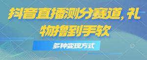 抖音直播测分赛道，多种变现方式，轻松日入1000+-逍遥游