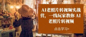 AI老照片转视频实操训练营,一线玩家教你AI老照片转视频-逍遥游
