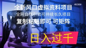 全新风口虚拟资料项目 全网自然引流可持续长久项目 复制粘贴即可可矩阵…-逍遥游