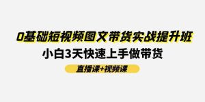 0基础短视频图文带货实战提升班(直播课+视频课):小白3天快速上手做带货-逍遥游