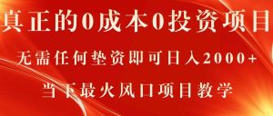 真正的0成本0投资项目,无需任何垫资即可日入2000+,当下最火风口项目教学-逍遥游