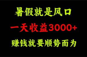 一天收益3000+ 赚钱就是顺势而为,暑假就是风口-逍遥游