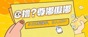 最新项目 暴力0撸 小白无脑操作 无限放大 支持矩阵 单机日入280+-逍遥游