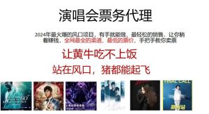 演唱会2024票务代理，全网最低的票价，手把手教你卖票，日入2000+-逍遥游