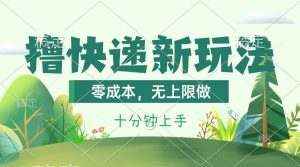 撸快递最新玩法，零成本，无上限做，日产1000+。课程看完就会-逍遥游