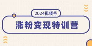 2024视频号-涨粉变现特训营:一站式打造稳定视频号涨粉变现模式(10节)-逍遥游