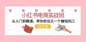小红书电商实战班，从入门到精通，带你抓住又一个赚钱风口（16节）-逍遥游