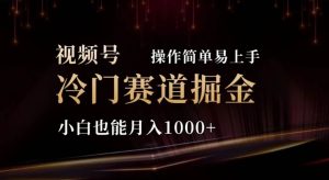 2024视频号冷门赛道掘金,操作简单轻松上手,小白也能月入1000+-逍遥游