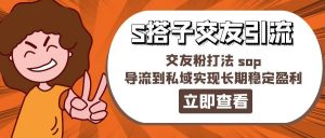 某收费888-S搭子交友引流，交友粉打法 sop，导流到私域实现长期稳定盈利-逍遥游