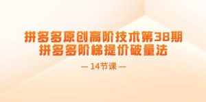 拼多多原创高阶技术第38期，拼多多阶梯提价破量法（14节课）-逍遥游