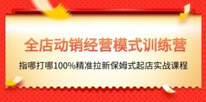 全店动销-经营模式训练营，指哪打哪100%精准拉新保姆式起店实战课程-逍遥游