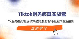 Tiktok财务核算实战营:TK业务模式/数据核算/应收款及毛利/数据下载及报表-逍遥游