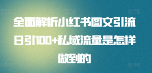 全面解析小红书图文引流日引100私域流量是怎样做到的-逍遥游