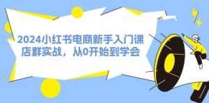 2024小红书电商新手入门课，店群实战，从0开始到学会（31节）-逍遥游