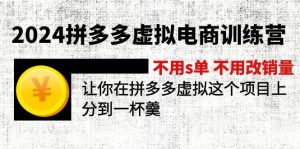 2024拼多多虚拟电商训练营 不s单 不改销量  做虚拟项目分一杯羹(更新10节)-逍遥游