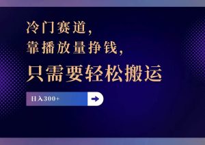 冷门赛道，靠播放量挣钱，只需要轻松搬运，日赚300+-逍遥游