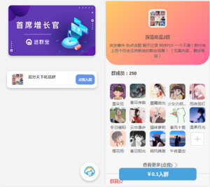 WordPress开发进群V2主题源码,多种引流方法,引私域二次变现-逍遥游