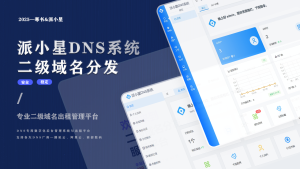 2025派小星DNS二级域名分发源码-逍遥游