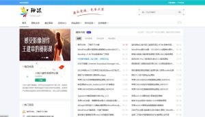 神话CMS内容资源系统php源码-逍遥游
